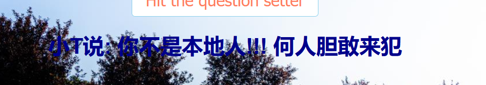 image-20250413100453099