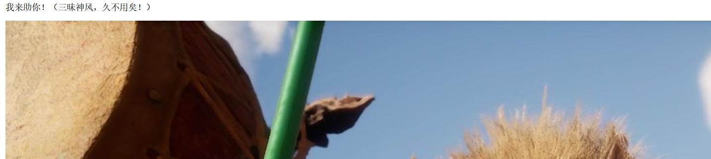 image-20250413205043901