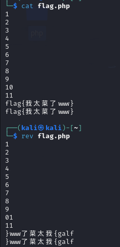 image-20250422120623141